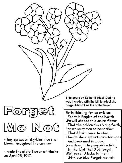 Forget Me Not Coloring Page Coloring Pages Forget Me Not Coloring