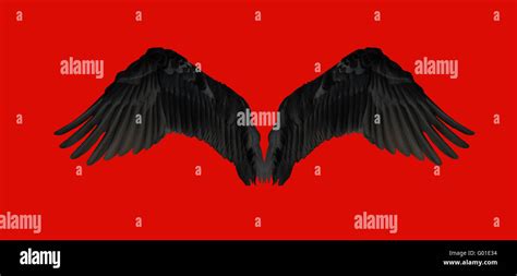 Black Wings High Resolution Stock Photography And Images Alamy