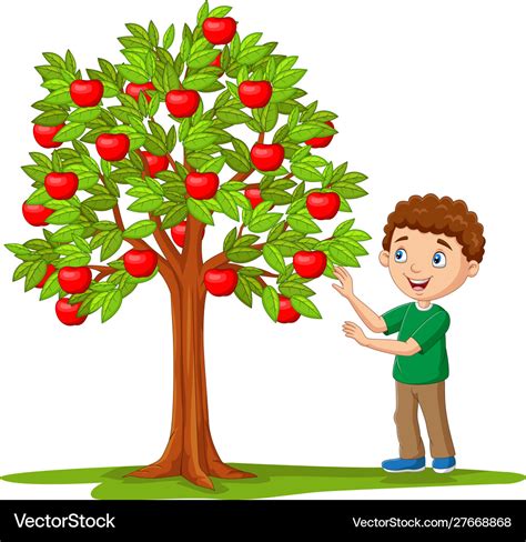 Cartoon Boy Picking Apples From Apple Tree Vector Image