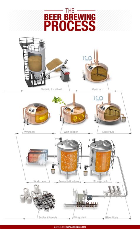 Beer Brewing Process Infographic Beer Brewing Process Beer Brewing