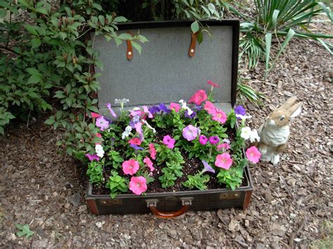 Old Suitcase Planter Old Suitcases Flower Garden Outdoor Gardens