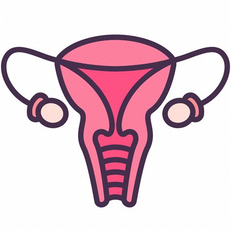 Female Human Internal Organ Ovary Reproductive Vagina Icon