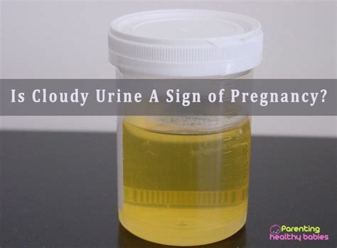 Can Cloudy Urine Be A Sign Of Pregnancy Pregnancywalls