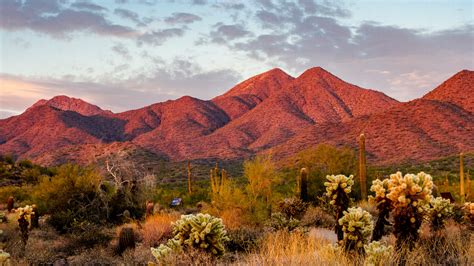 A Design Lovers Guide To Scottsdale Arizona—frank Lloyd Wrights