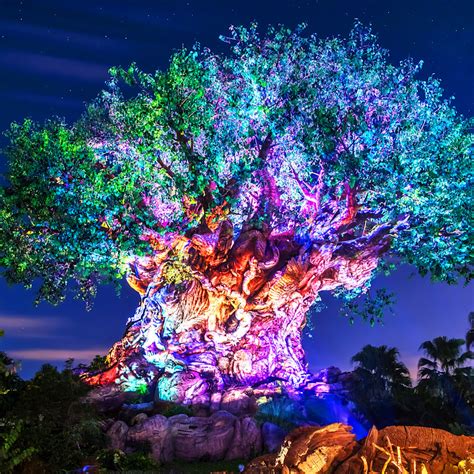 Tree Of Life Awakenings Disney Art For Sale William Drew