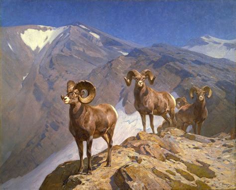 The 31 Top Composition Concepts For Great Painting Big Horn Sheep