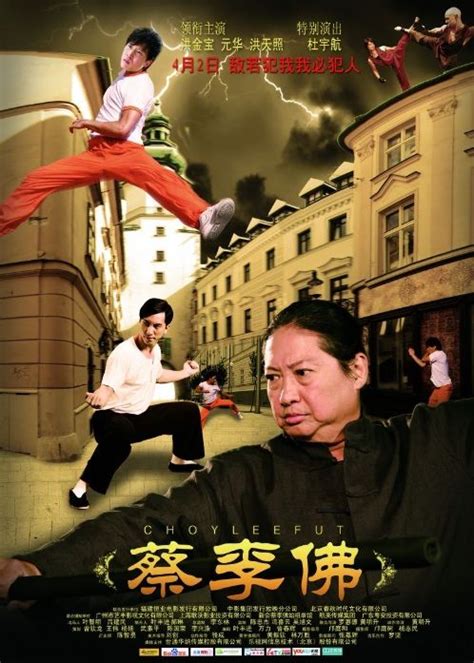 Best Kung Fu Action Movies 2011 Best Chinese Kung Fu Movies Kung Fu