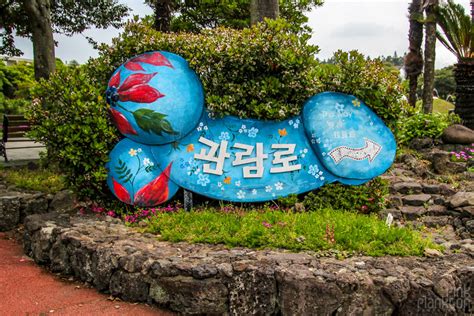 There’s An Entire Theme Park About Sex In South Korea Pink Plankton