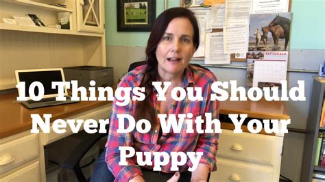 10 Things You Should Never Do With Your Puppy Youtube