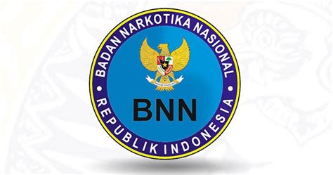Kumpulan soal pppk terbaru 2021. Lowongan Kerja BNN Kabupaten Bogor Tahun 2018 | Lowongan Kerja Terbaru Lulusan SMA D3 dan S1 ...