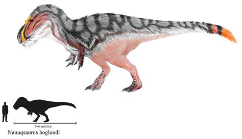 Nanuqsaurus Hoglundi By Zewqt On Deviantart