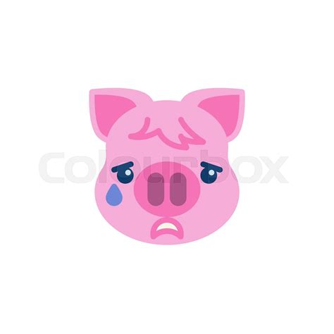 Piggy Crying Face Emoji Flat Icon Stock Vector Colourbox