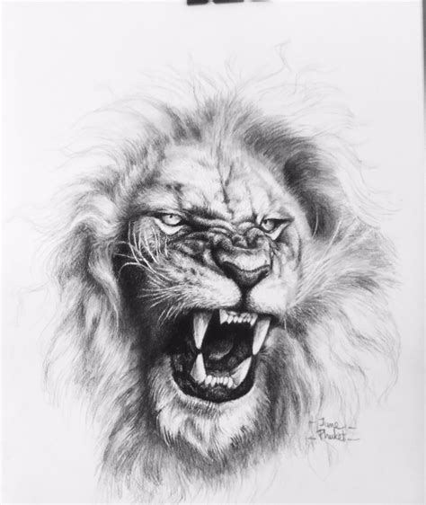 Roaring Lion Tattoo Drawing