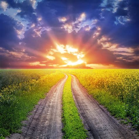 Country Road And Sunset Stock Image Image Of Bright 33837595
