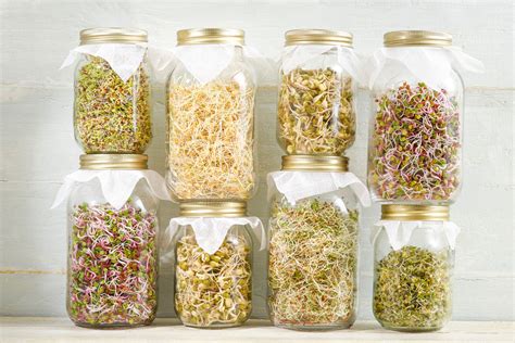 How To Grow Sprouts In A Jar In 8 Simple Steps