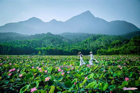 Đẹp đến Từng Góc Nhìn ảnh Thiên Nhiên đẹp Việt Nam Với Những Miền đất đẹp