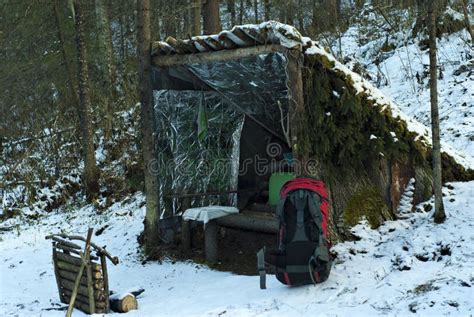 Improvised Lean To Shelter In The Winter Forest Stock Image Image Of