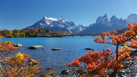 Chile Cruises Best Cruises From Chile 2024 And 2025 Celebrity Cruises