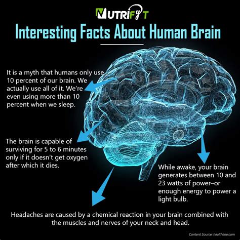 Brain Chemistry Brain Science Life Science Human Brain Facts