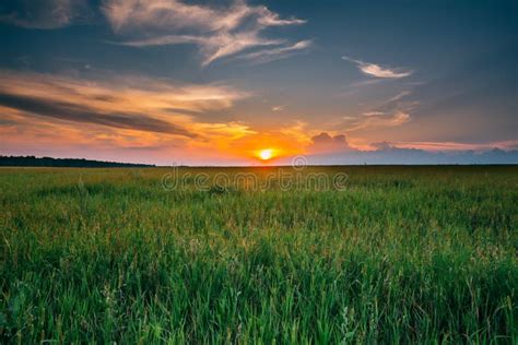 Summer Sunset Evening Sky Above Countryside Rural Meadow Landsca Stock