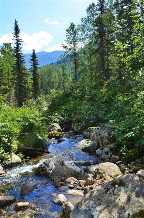 Beautiful Sunny Summer Landscape Fast Flowing Source Of Mountain River