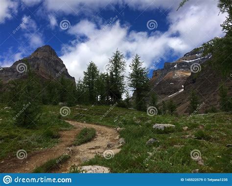 Larch Valley And Minnestimma Lakes Stock Image Image Of Park Alberta