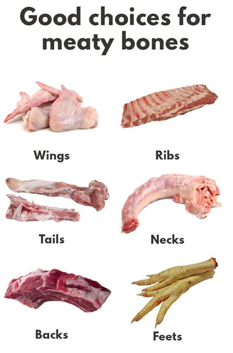 What Is A Raw Meaty Bone For Dogs