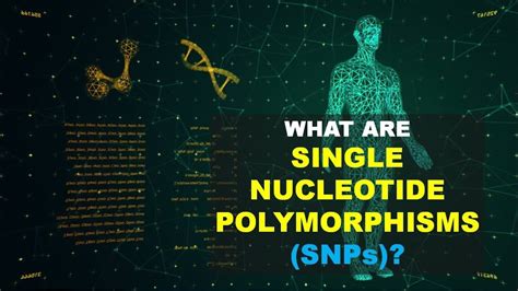 SNPs Single Nucleotide Polymorphism 0 Better Explained YouTube