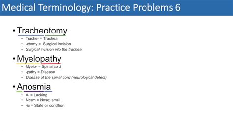 Medical Terminology The Basics And Anatomy Practice Problems Set 1