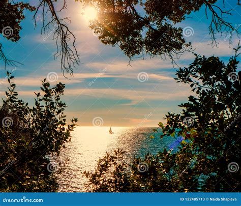 Sailing Boat On A Lake At Sunrise Stock Image Image Of Forest
