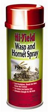 Hornet Control Products Photos