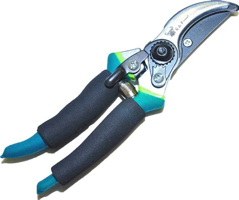 5 Best Pruning Shears Hand Pruners For Your Garden Plants