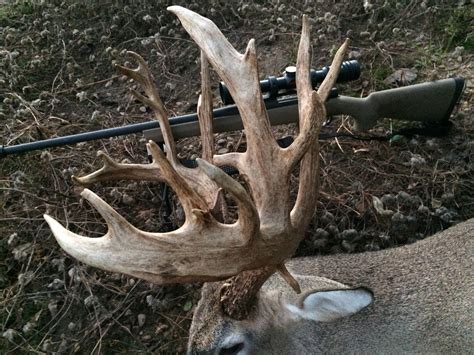Pike County Hunter Kills Giant Non Typical 25 Point Buck