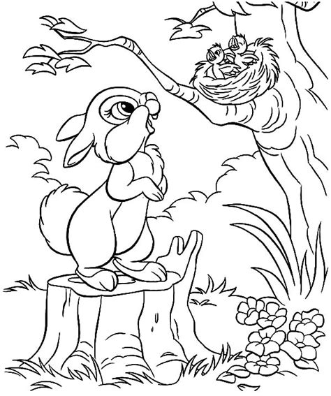 Melt the chocolate in a microwave or double boiler. Little Rabbit Saw Bird Nest And Baby Bird Coloring Pages ...