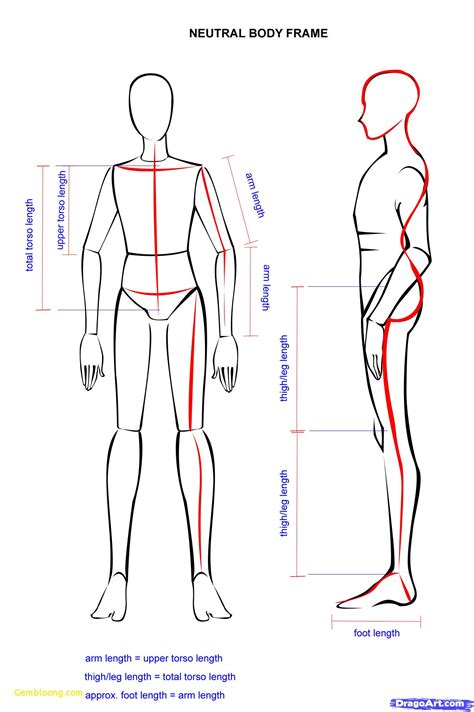 Drawing Human Anatomy For Beginners Anatomy Drawing Practice