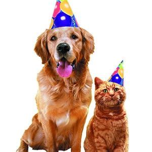 Do you celebrate your dog's birthday? Celebrate Pets! #dogs #cats #parties #birthday #dog | Cat ...