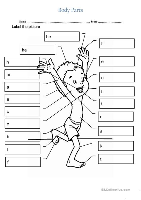 32 Human Body Label Worksheets Labels For You