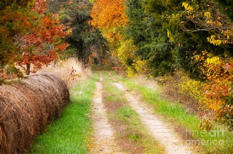 Autumn Beauty On Rural Dirt Road Photograph By Peggy Franz