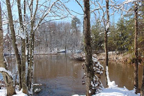 Snowy Country Pond In Virginia Photograph By Nancy Mell