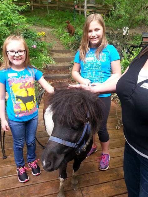 These Girls Are Having Fun Petting And Riding Our Miniature Pony Come