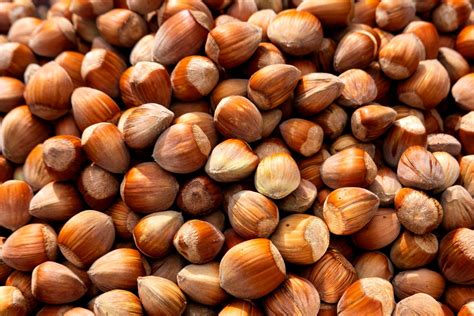 Hazelnuts The Nutrition Calories Health Benefits And More The Healthy