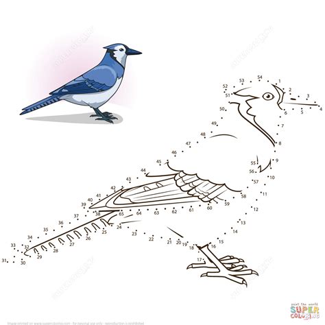 Blue Jay Dot To Dot Free Printable Coloring Pages