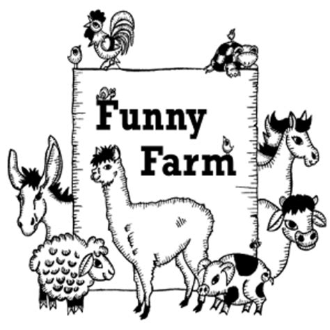 Funny Farm Petting Zoo Animals For Parties Lincoln Ca The Bash