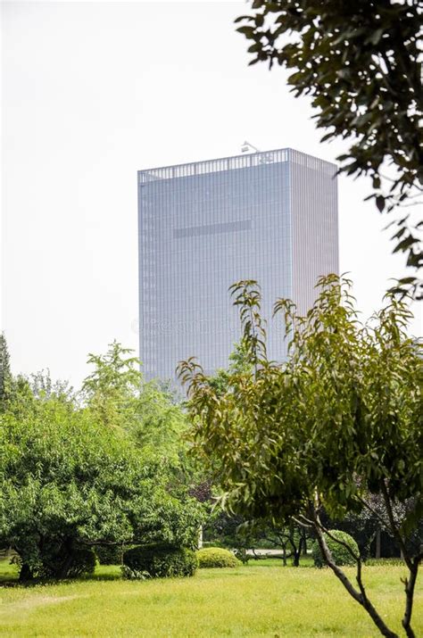 Skyscrapers In The Forest Stock Image Image Of Concrete 128804211