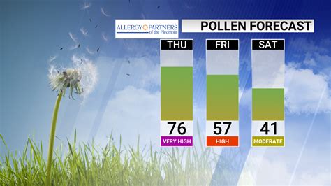 Warm Temperatures Means High Pollen Count In North Carolina