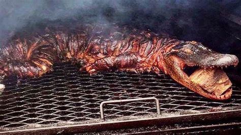 Smoked Alligator Wrapped In Bacon Is Show Stopper At Tailgate Rbacon