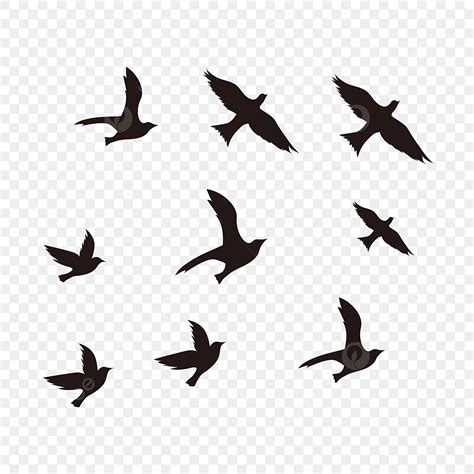 Black Birds Flying Silhouette Transparent Background Black Flying Bird