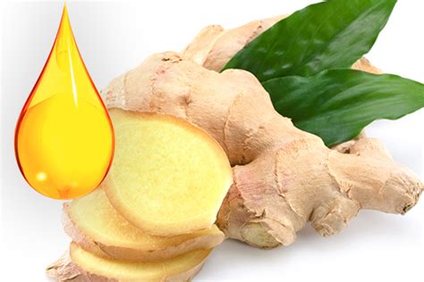 Know The Key Benefits Of Ginger Essential Oil