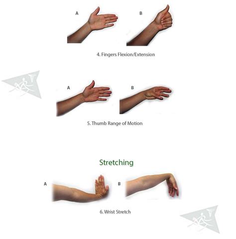 Elbow Wrist And Hand Exercises