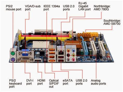 Netware Desktop Motherboard Ports And Their Functions